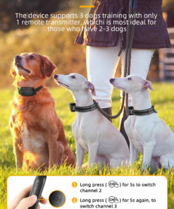 1000m training collar kit