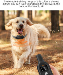 1000m training collar kit